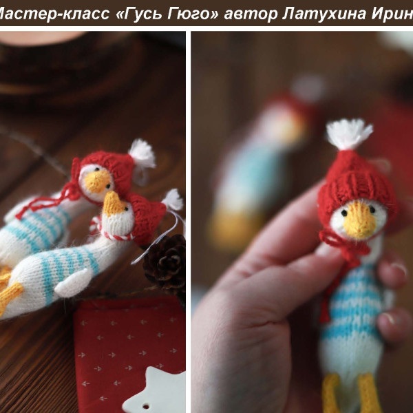 Гуси, утки. Гусь Гюго